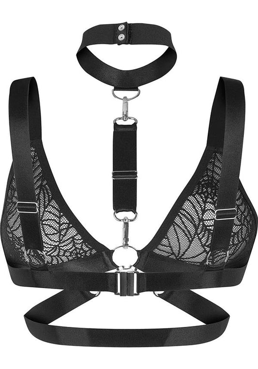 Tangled | BRALET