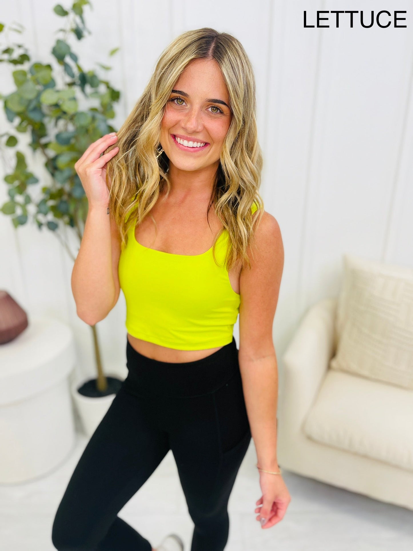 REG/CURVY Take Your Place Sports Bra- Multiple Colors!