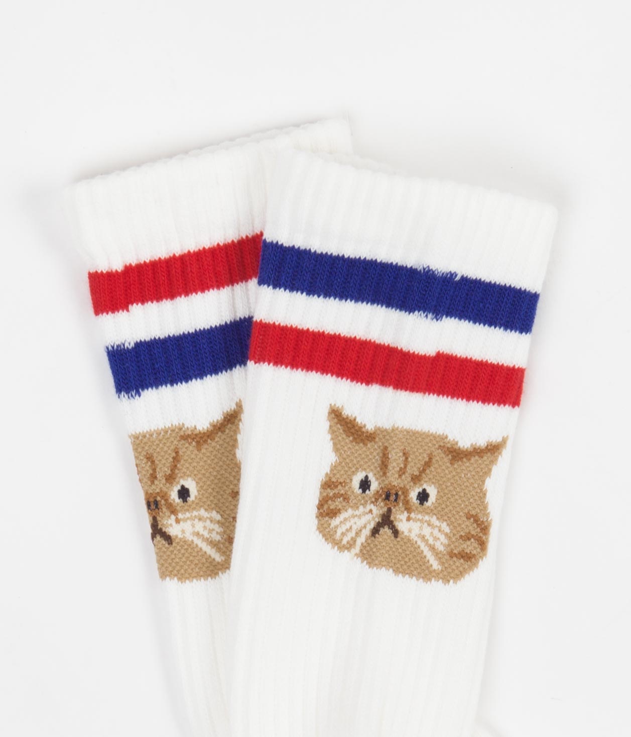 Rostersox Cat Socks - Blue